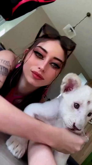 seilorkittyofficial